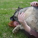 Laura Smothers Photo 29