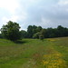 Charley Meadows Photo 15