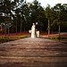 Leslee Brooks Photo 13