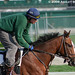 David Gallop Photo 27