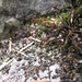 Myra Seals Photo 17