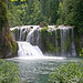 Duane Lewis Photo 33