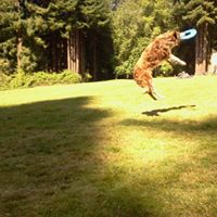 Dirk Collins Photo 2
