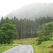 Glen Goodman Photo 29