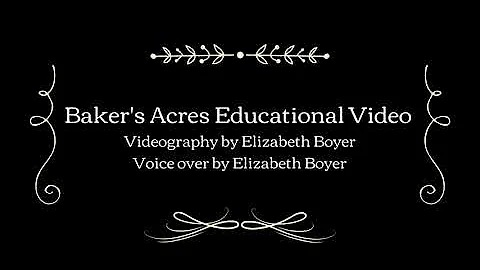 Elizabeth Boyer Photo 32