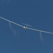 Martin Wells Photo 37