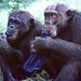 David Leakey Photo 13