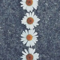 Clara Rosa Photo 15