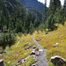 Gladys Lake Photo 23