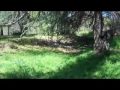 Bonnie Moorman Photo 11
