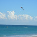 John Kyte Photo 29