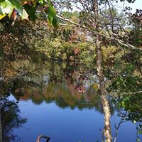 Donna Steiner Photo 5