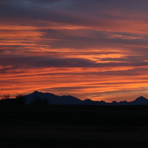 Bryan Sanborn Photo 3