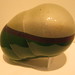 Glenn Goldberg Photo 33