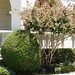 Margaret Moore Photo 46