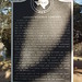 Mark Seale Photo 26