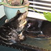 Mildred Stanley Photo 28