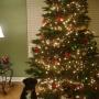 Jennifer Seidel Photo 25