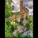 Frederick Klaus Photo 11