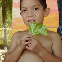 Andre Pineda Photo 6