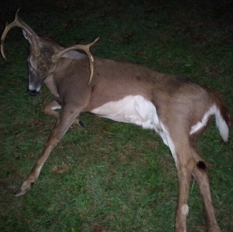 John Mcclellan Photo 17
