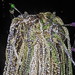 Mary Braid Photo 19