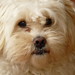 Kay Bianco Photo 15