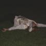 Rick Torres Photo 29