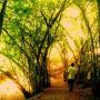 Ia Vang Photo 24
