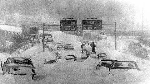 Wayne Blizzard Photo 12