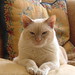 Rodney Woody Photo 21