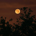 Milton Luna Photo 33
