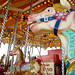 Terry Rounds Photo 23