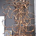 Bruce Cruz Photo 39