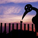 Martin Velez Photo 30