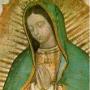 Arturo Duarte Photo 19