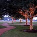 Alan Grove Photo 34