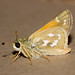 John Juba Photo 18