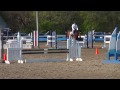 Harrison Rowe Photo 13