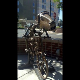 Joseph Puglisi Photo 9