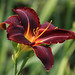 Christine Hite Photo 31
