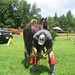 Brad Johnson Photo 18