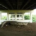Adam Lockwood Photo 33