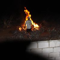 Michael Hogle Photo 4