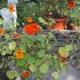 Sandy Hunt Photo 27