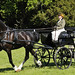 Diane Hanlon Photo 33