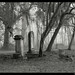 Sheldon Scott Photo 40