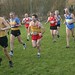 Roger Lindsay Photo 35