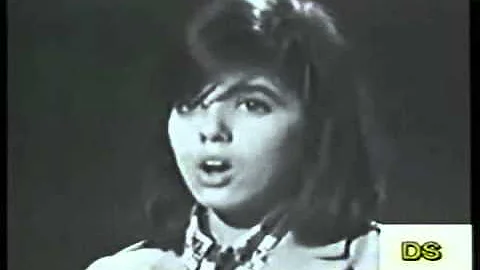 Jeannette Luna Photo 22