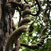 Elizabeth Smothers Photo 27